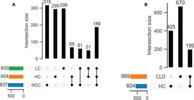 Gut microbiota dysbiosis with hepatitis B virus liver disease and association with immune response